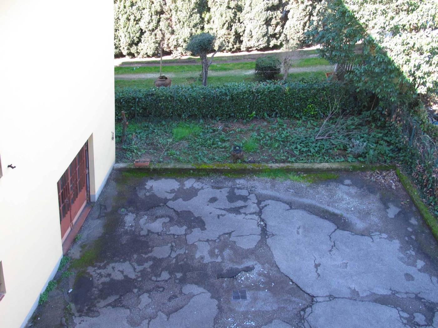 Giardino