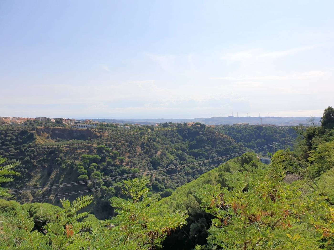 Vista