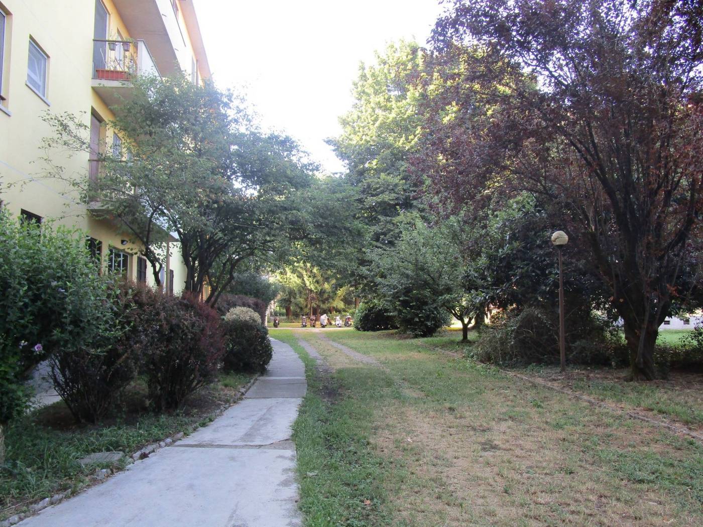 Giardino