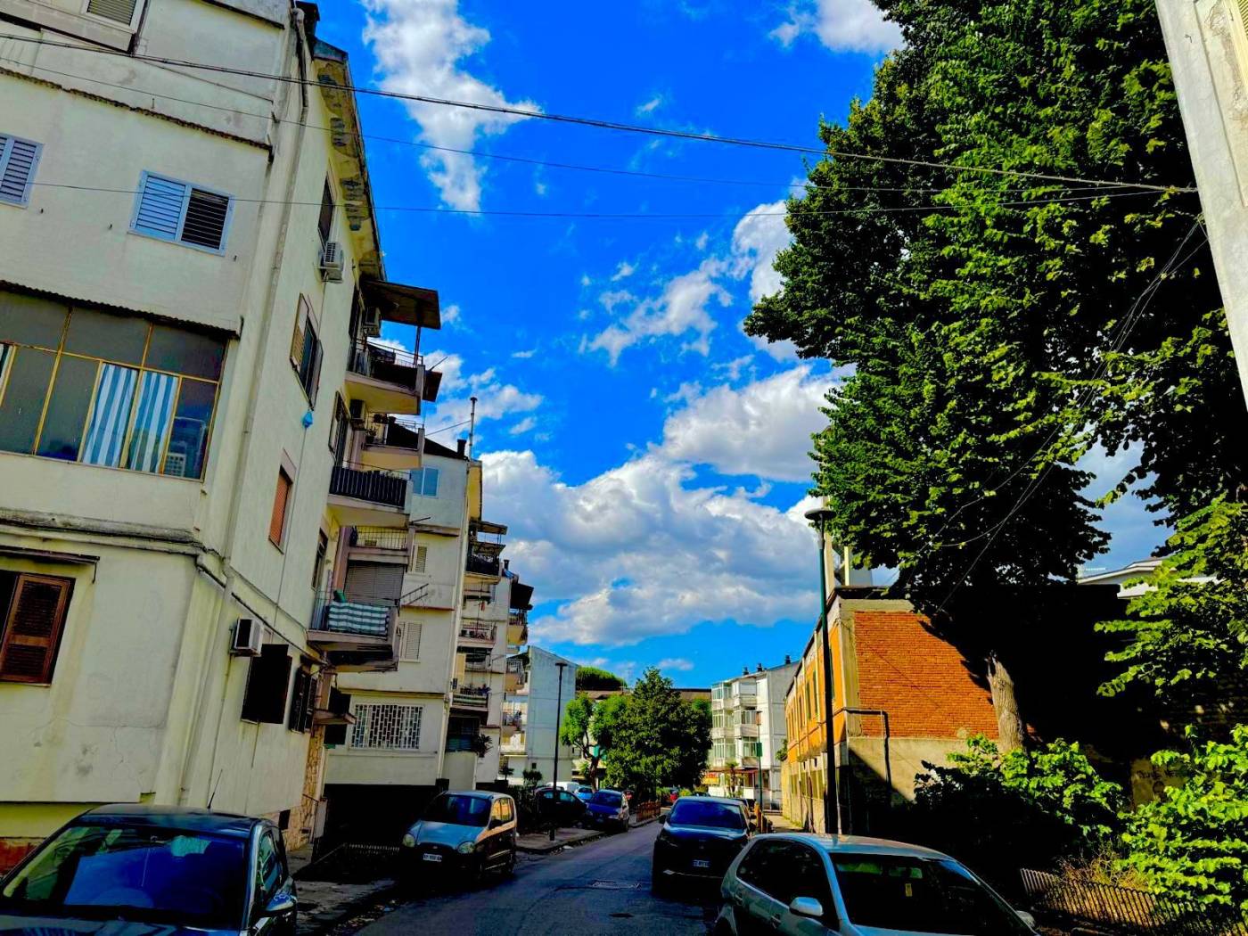 Zona