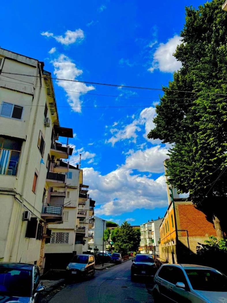 Zona