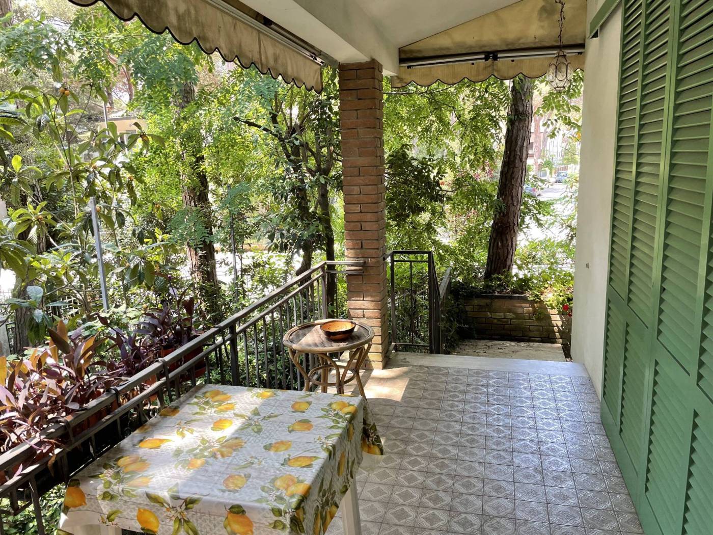 Giardino
