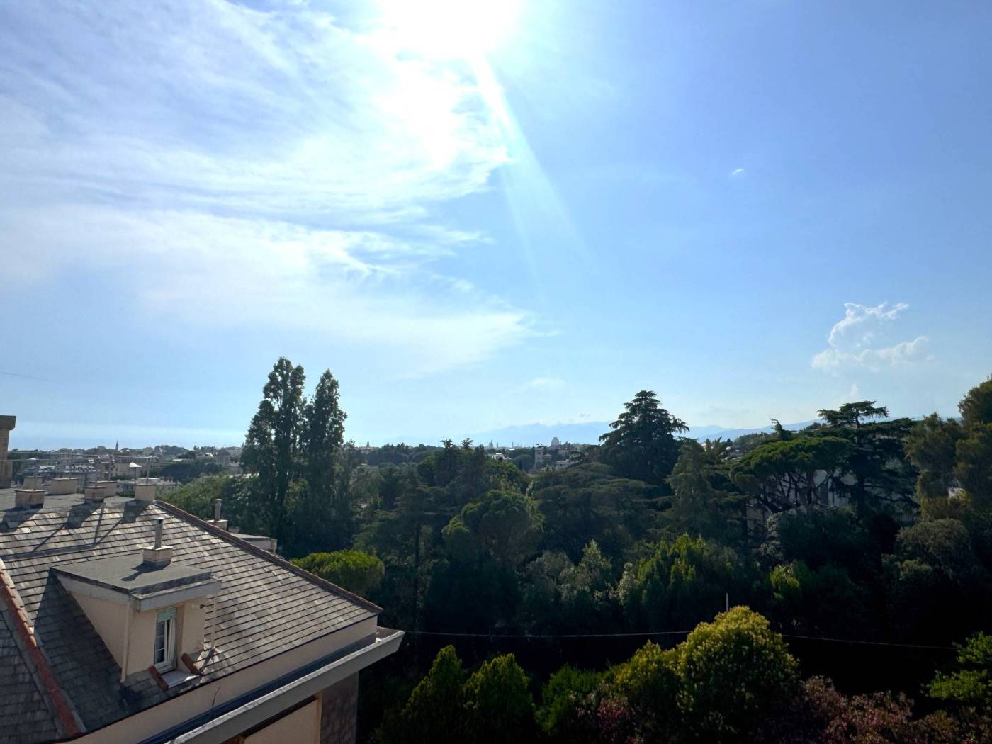 Vista