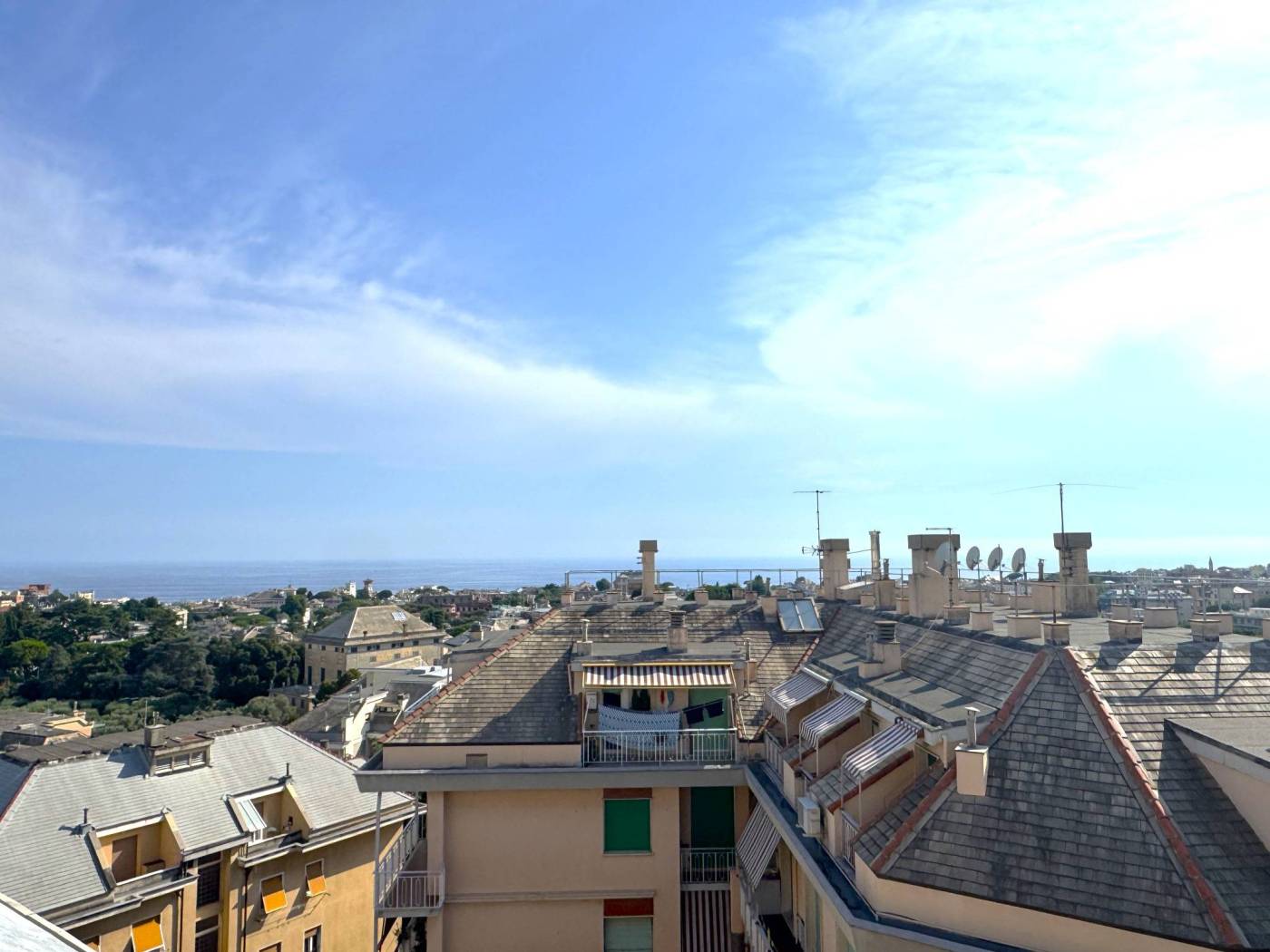 Vista