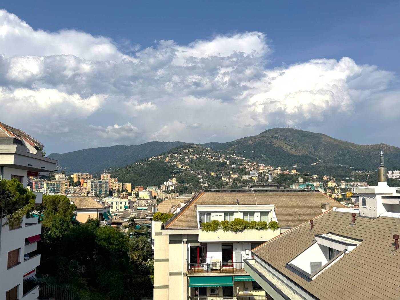 Vista