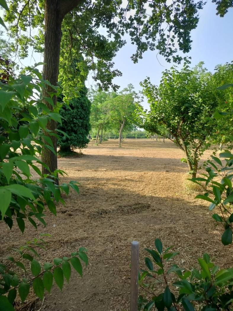 Terreno