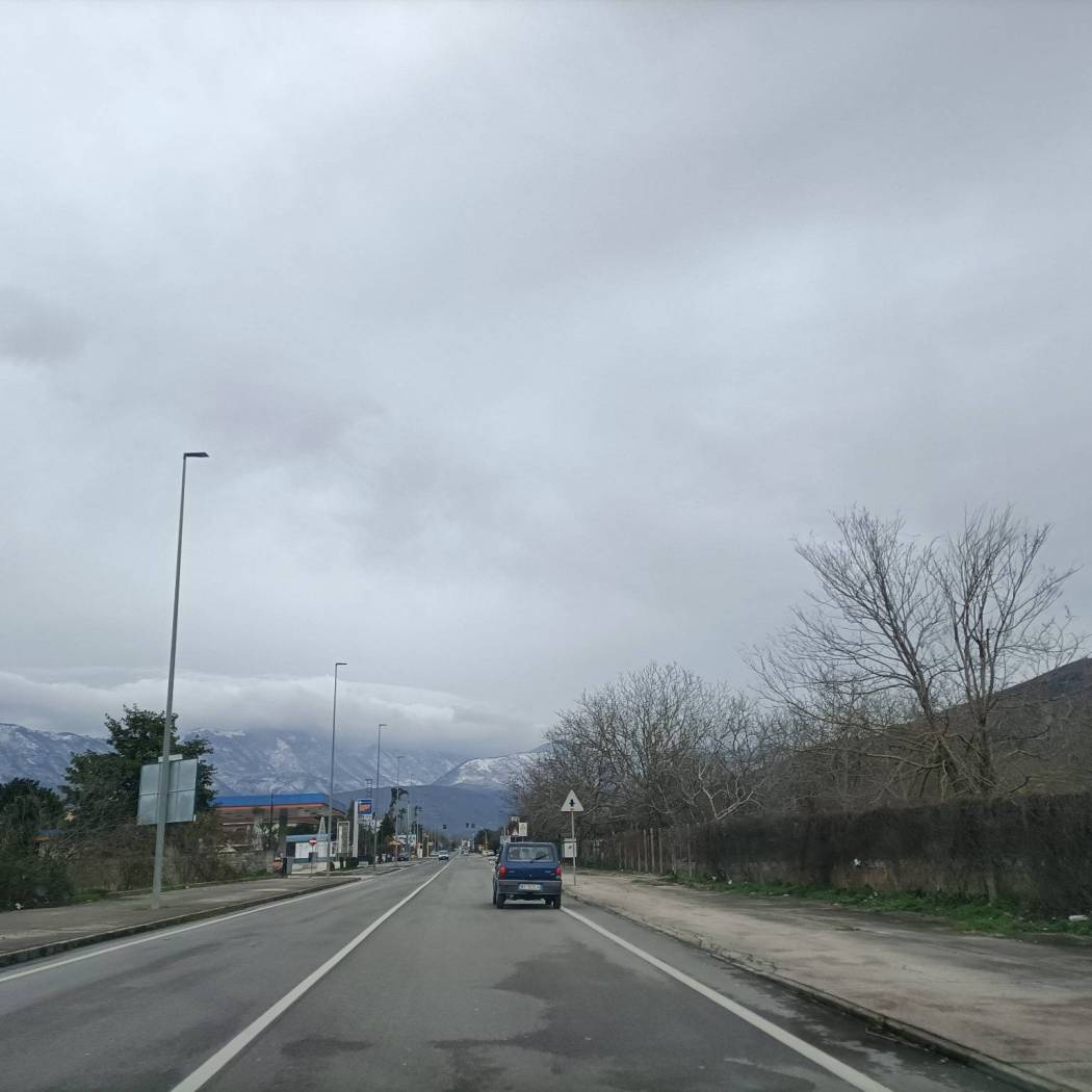 Zona