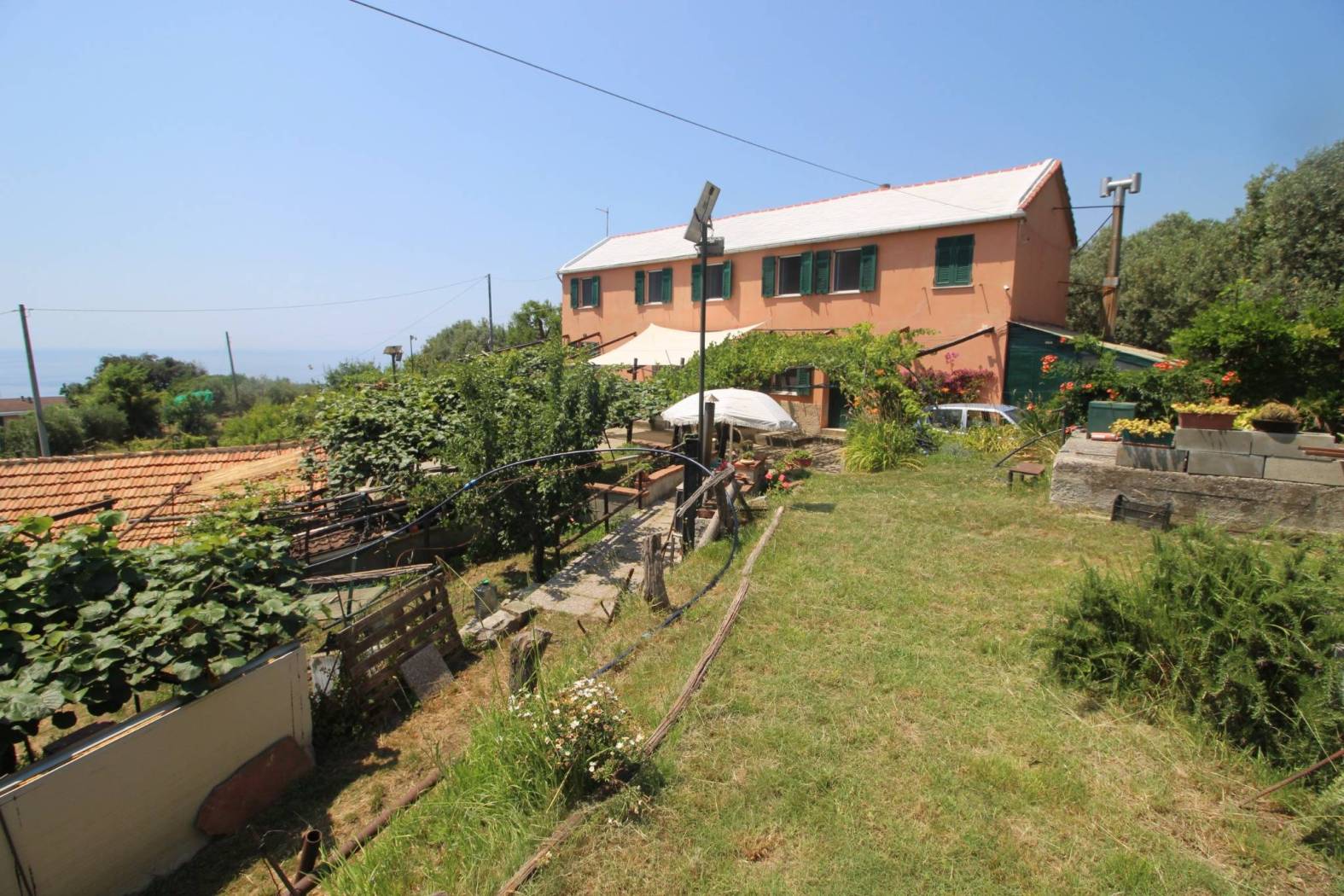 Terreno