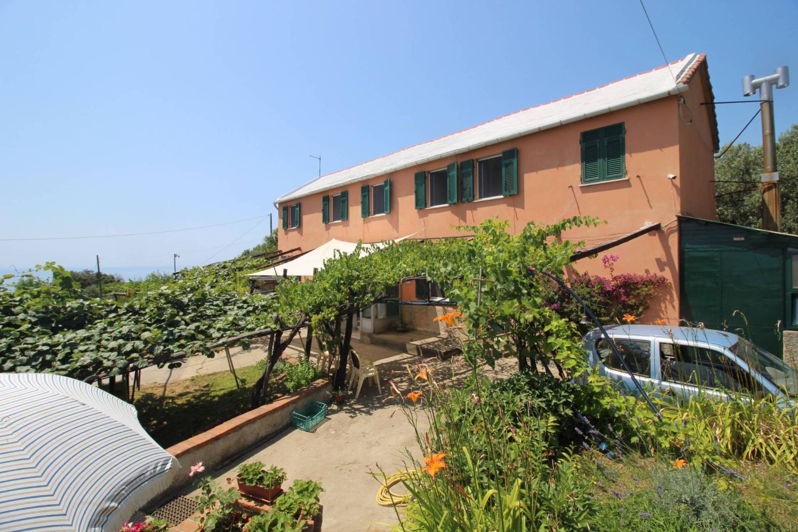 Giardino