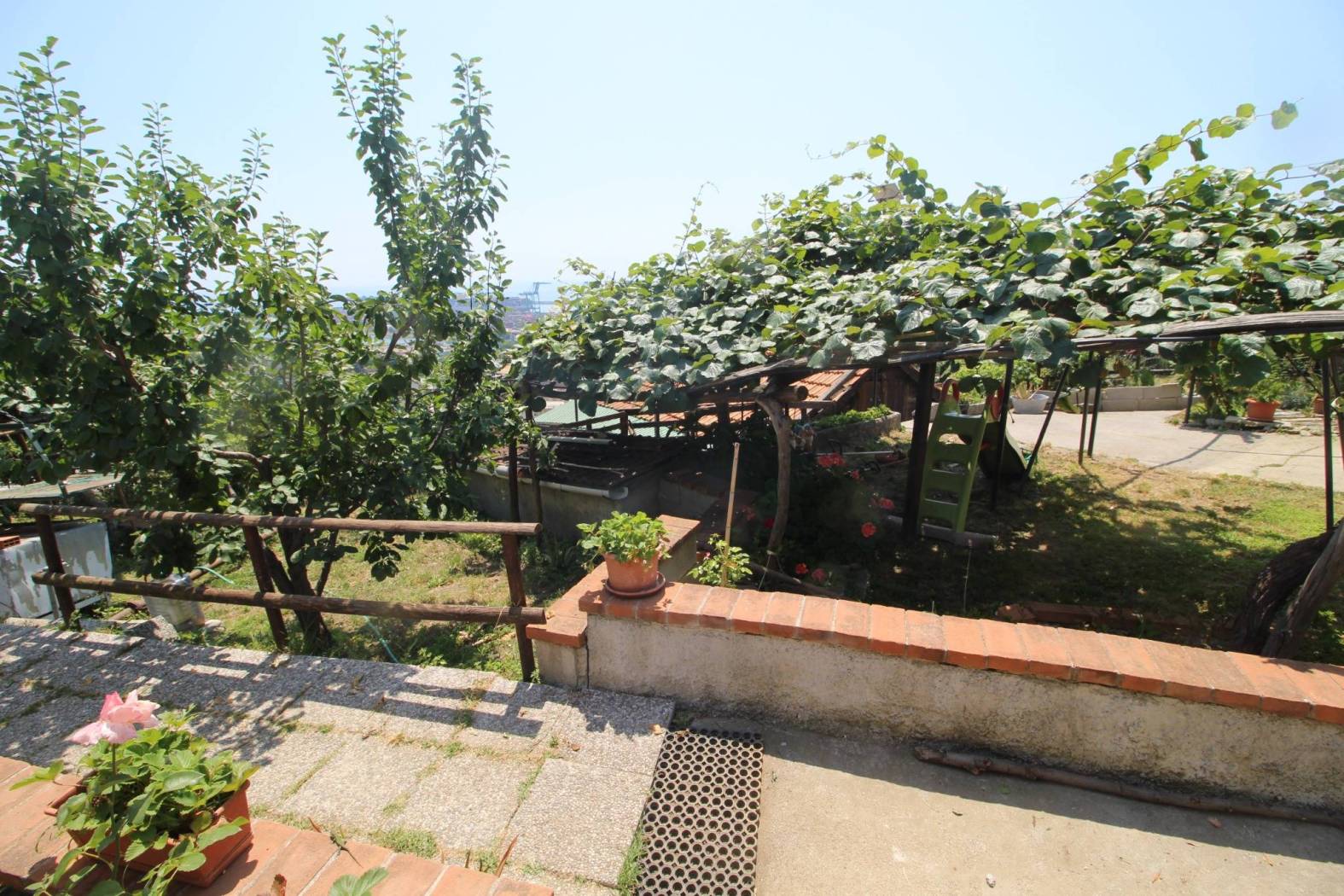 Giardino