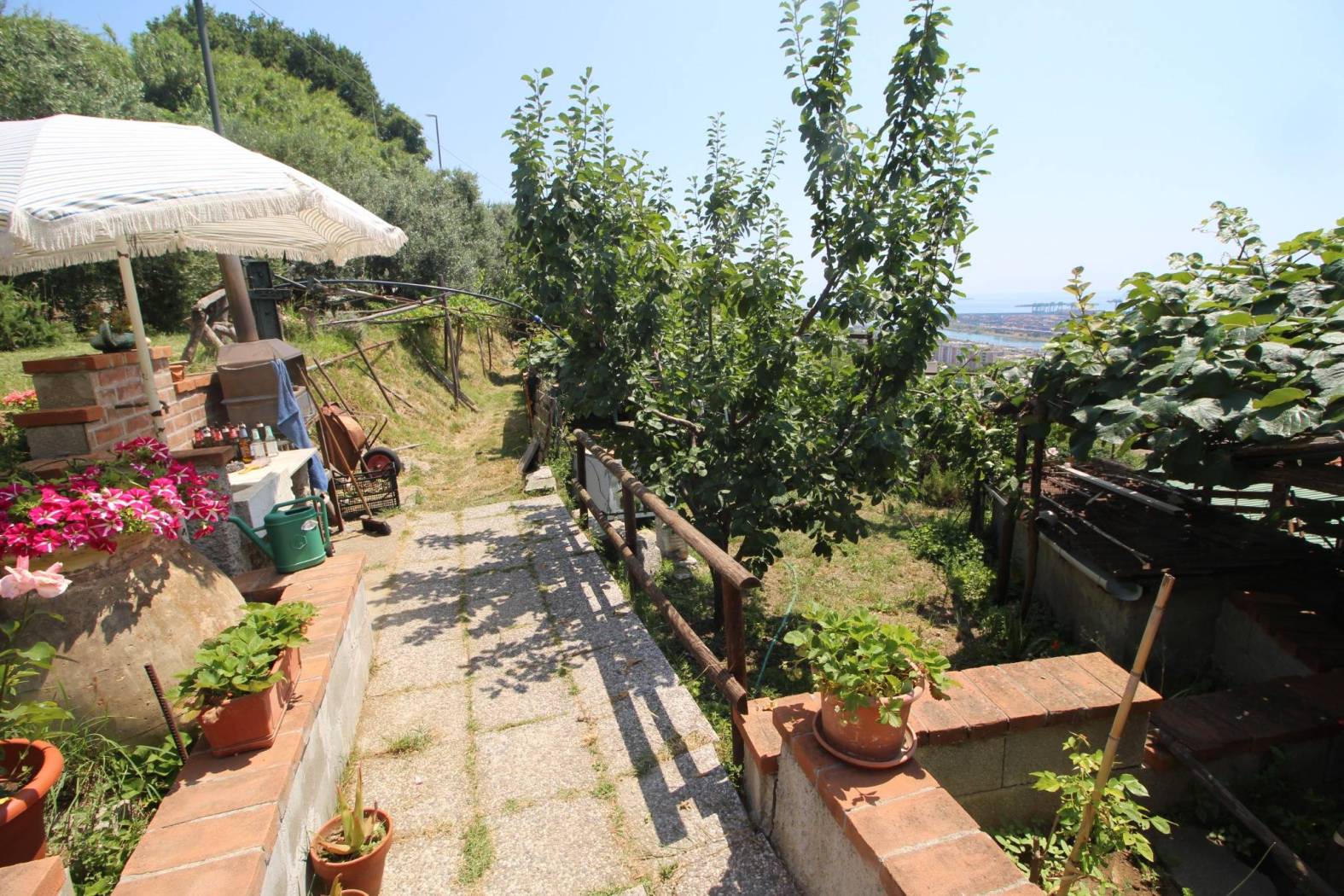 Giardino