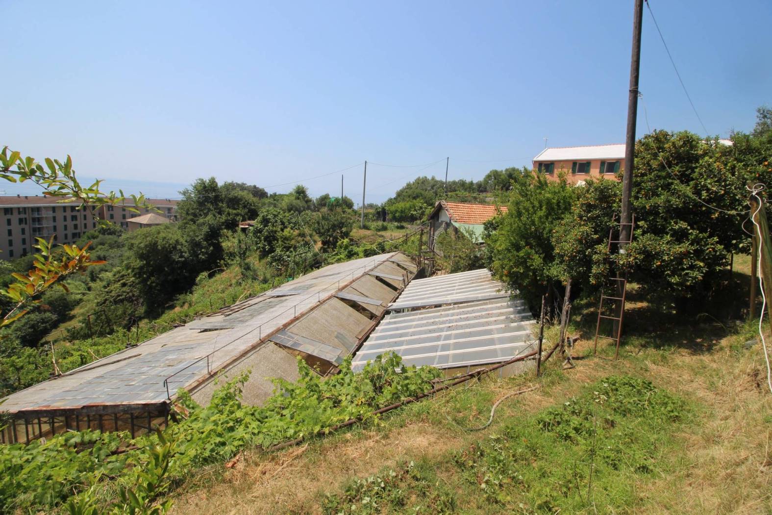 Terreno