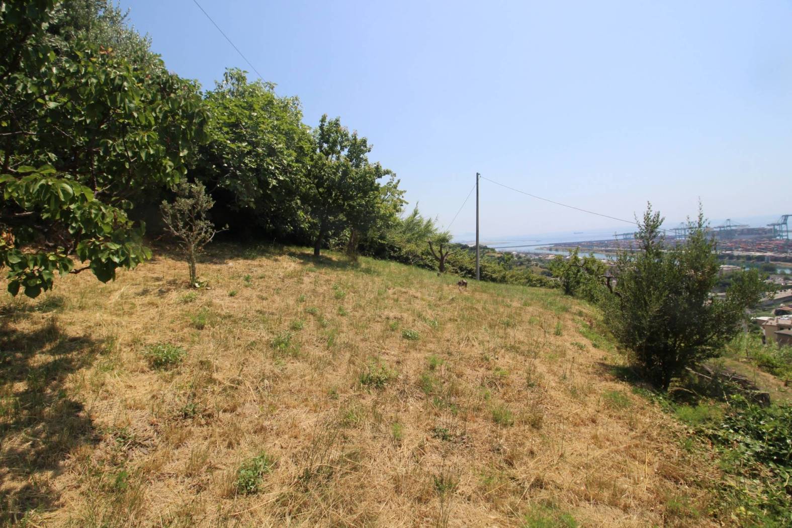 Terreno