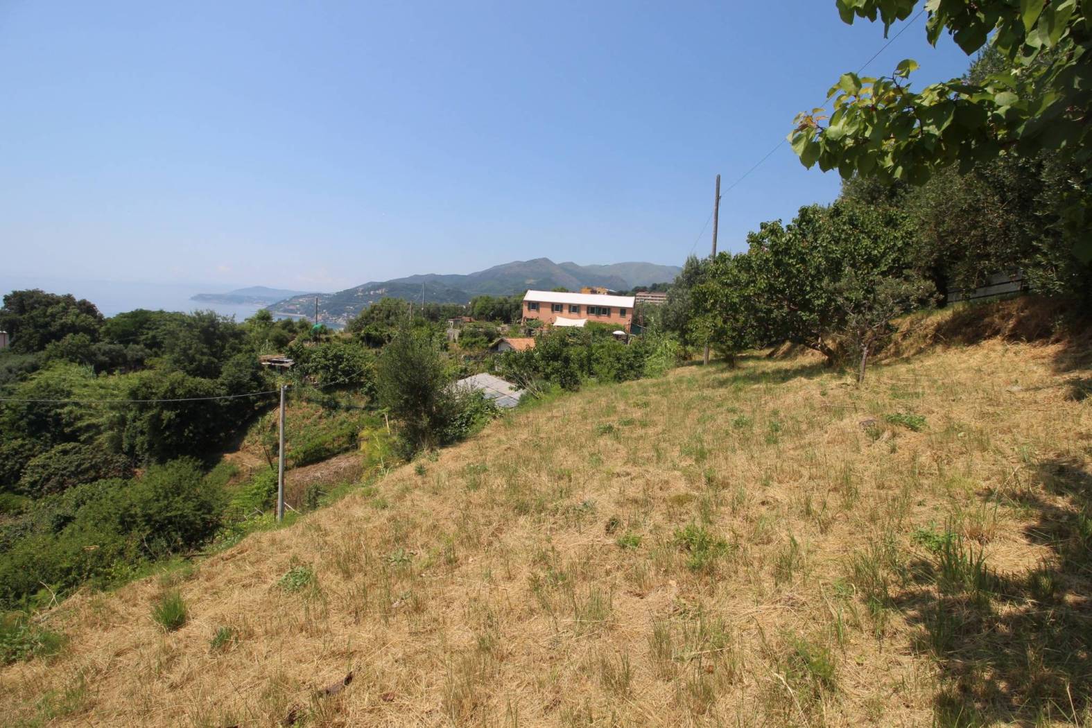 Terreno