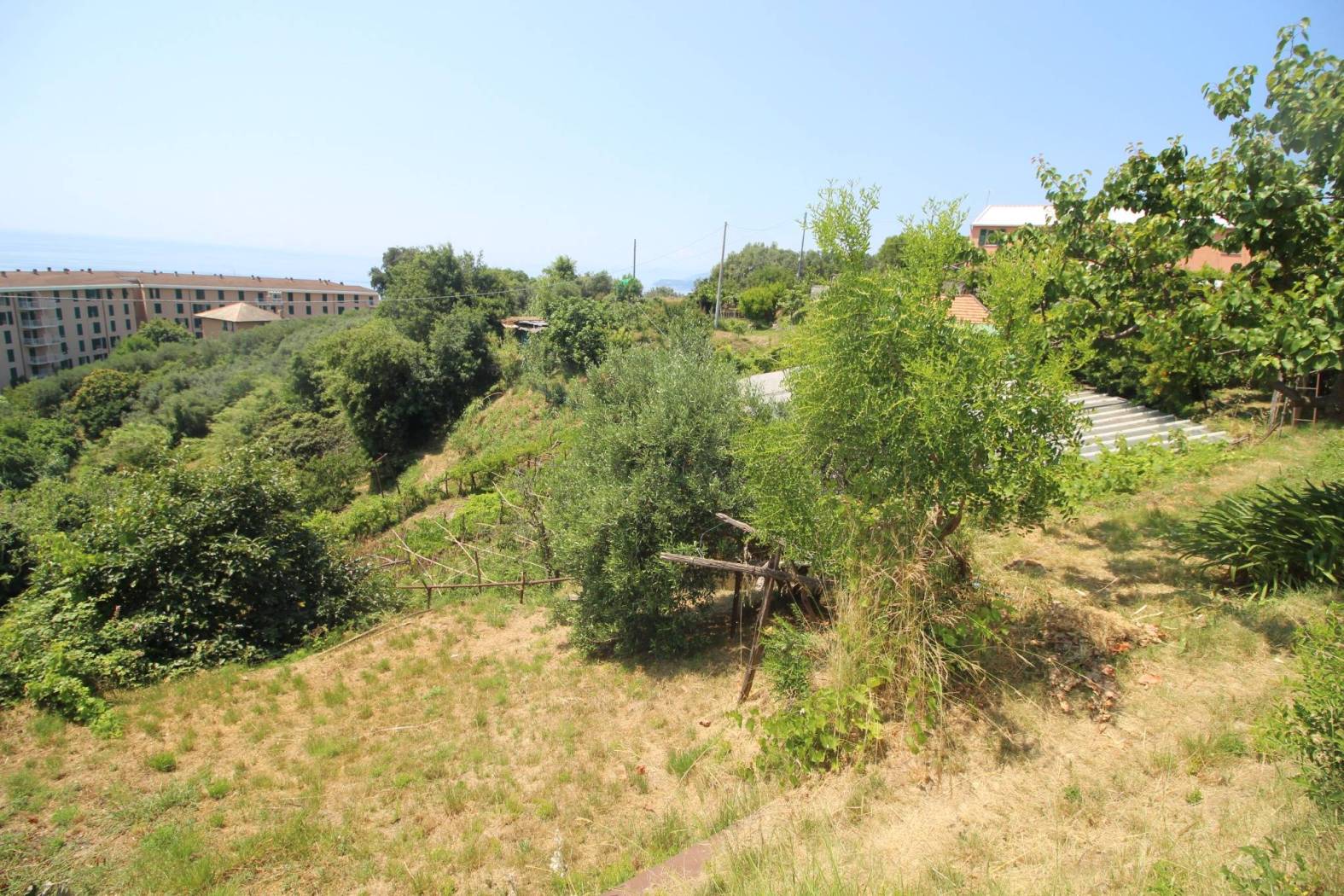 Terreno