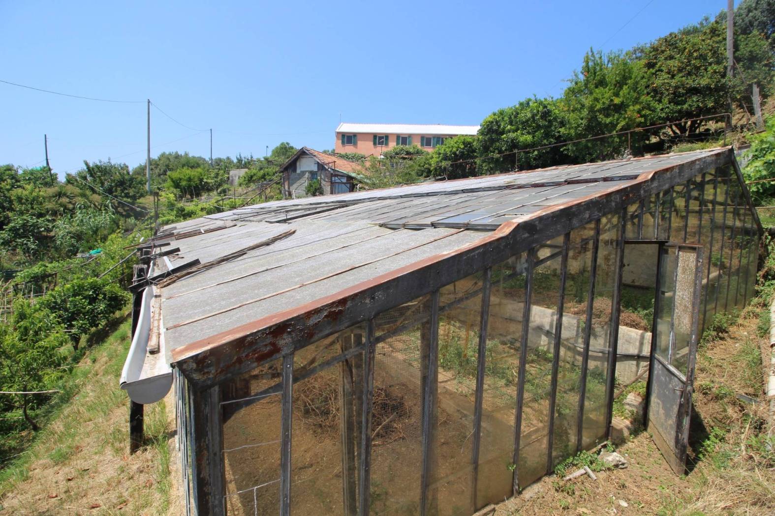 Terreno
