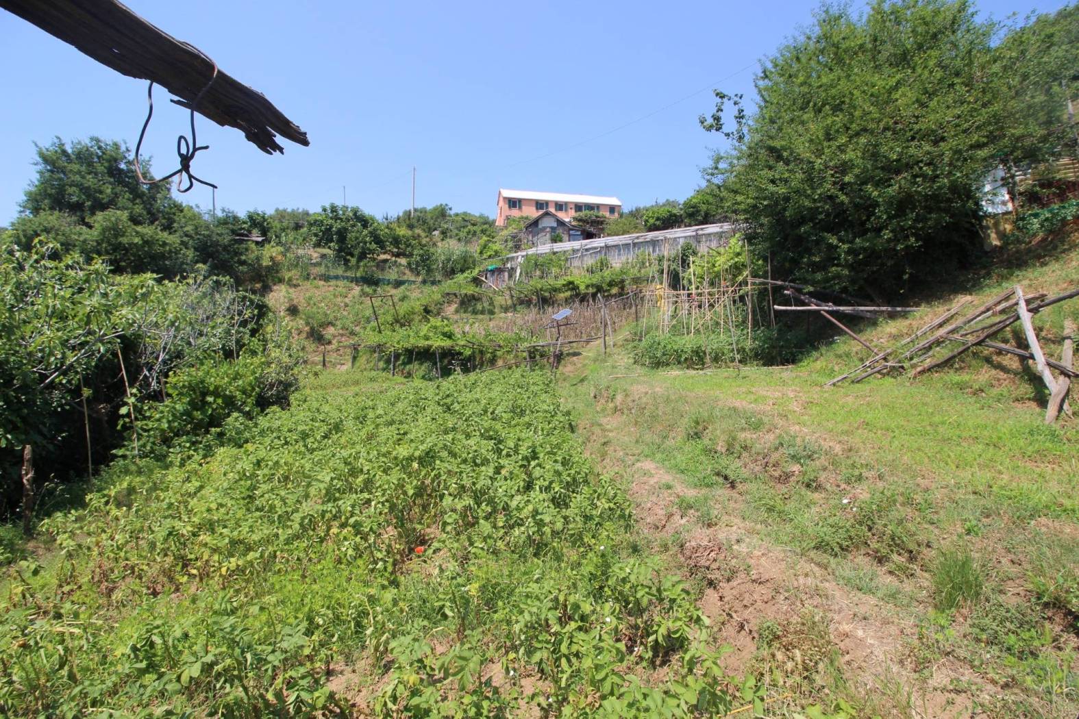 Terreno