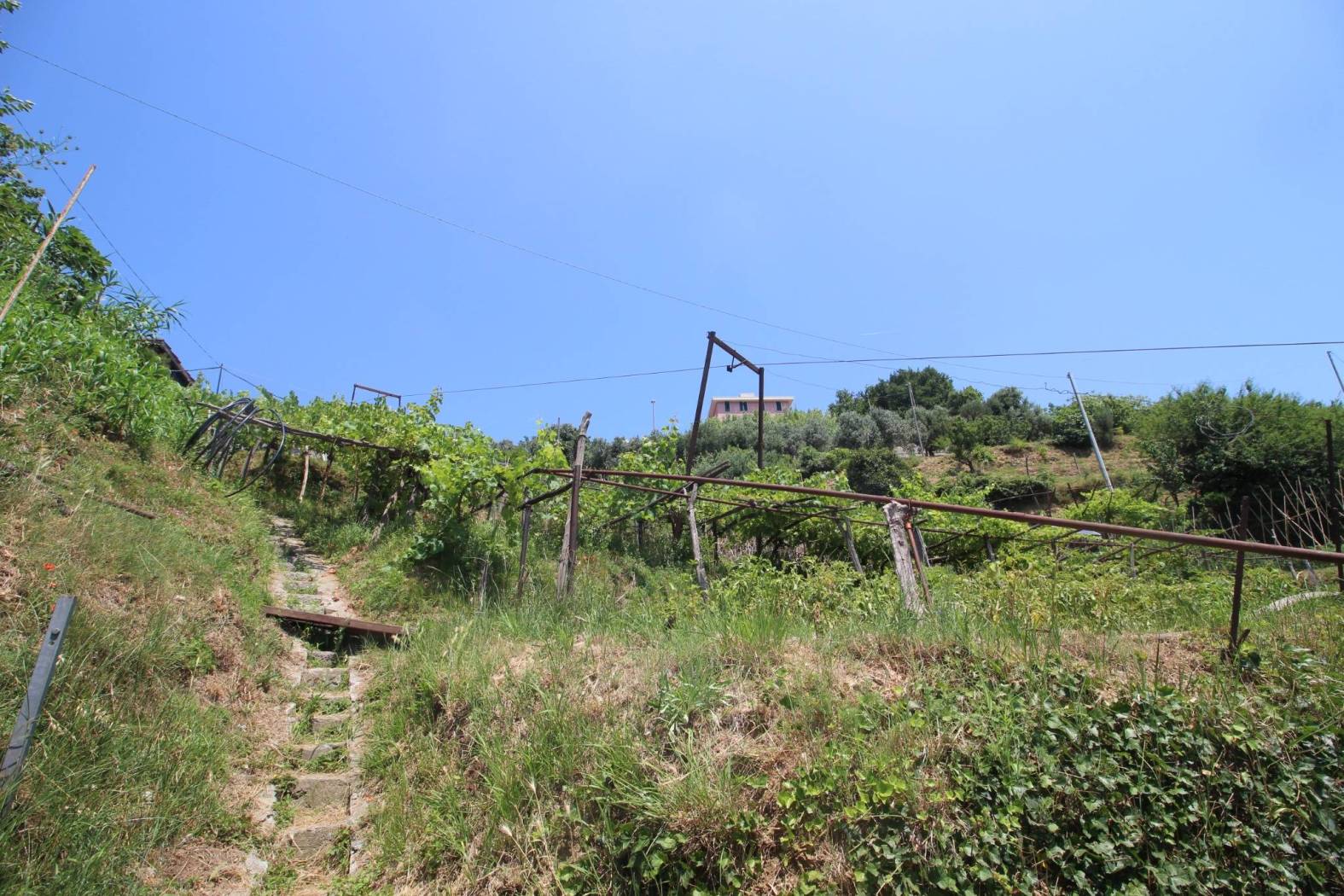 Terreno