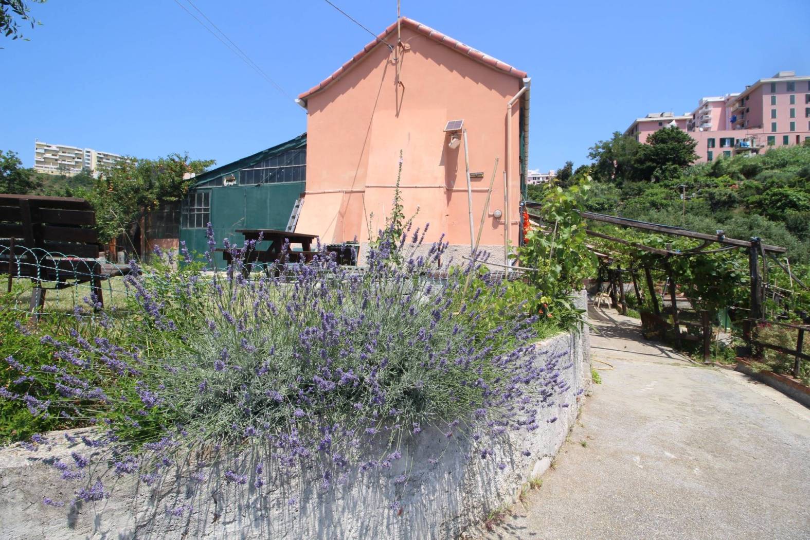 Terreno