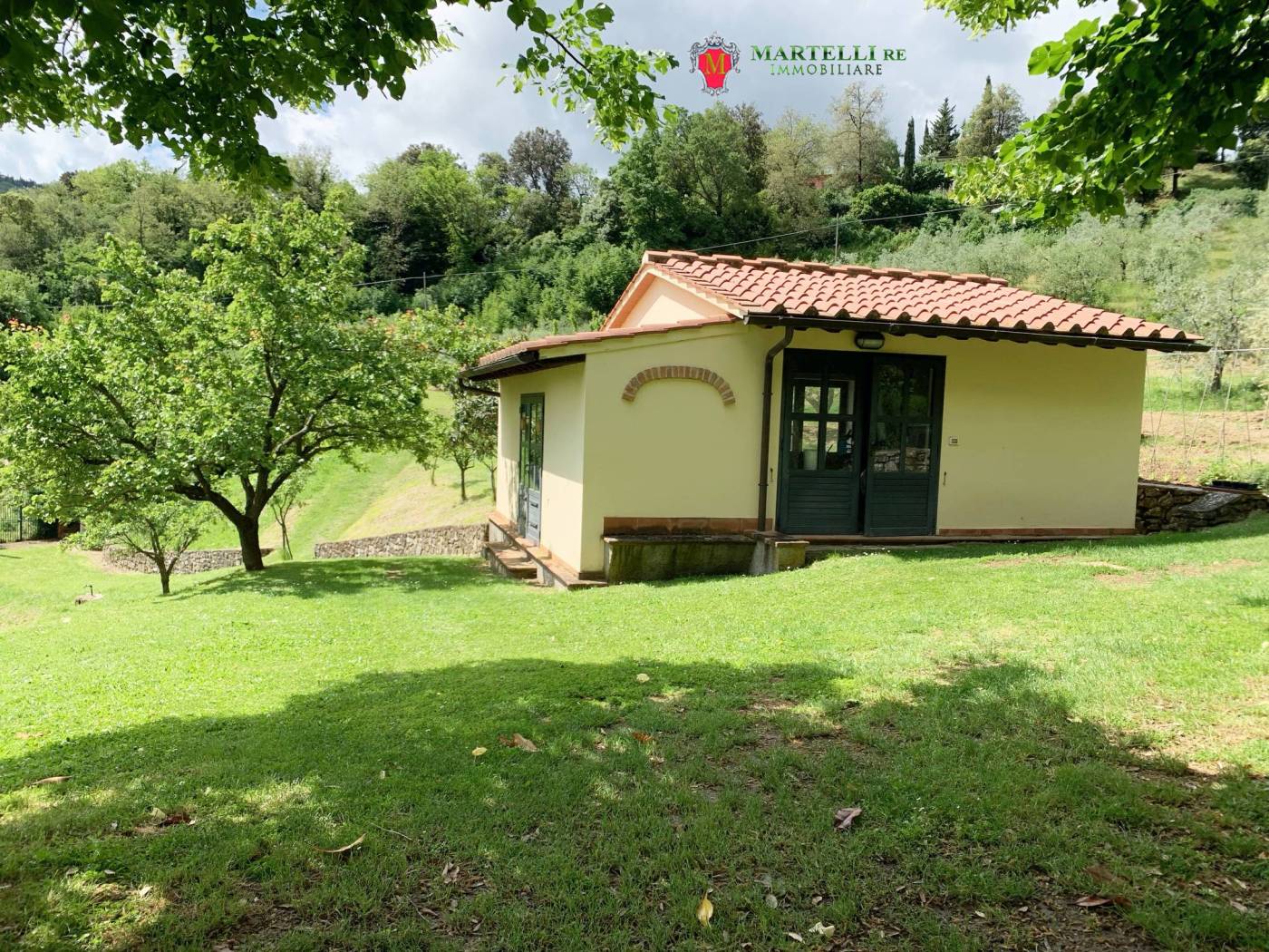 Giardino