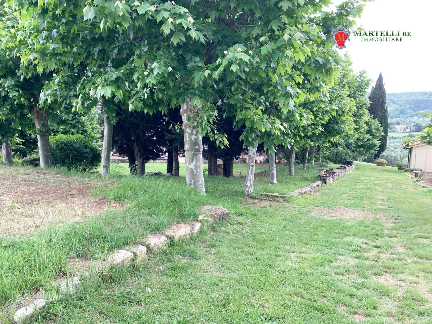 Terreno