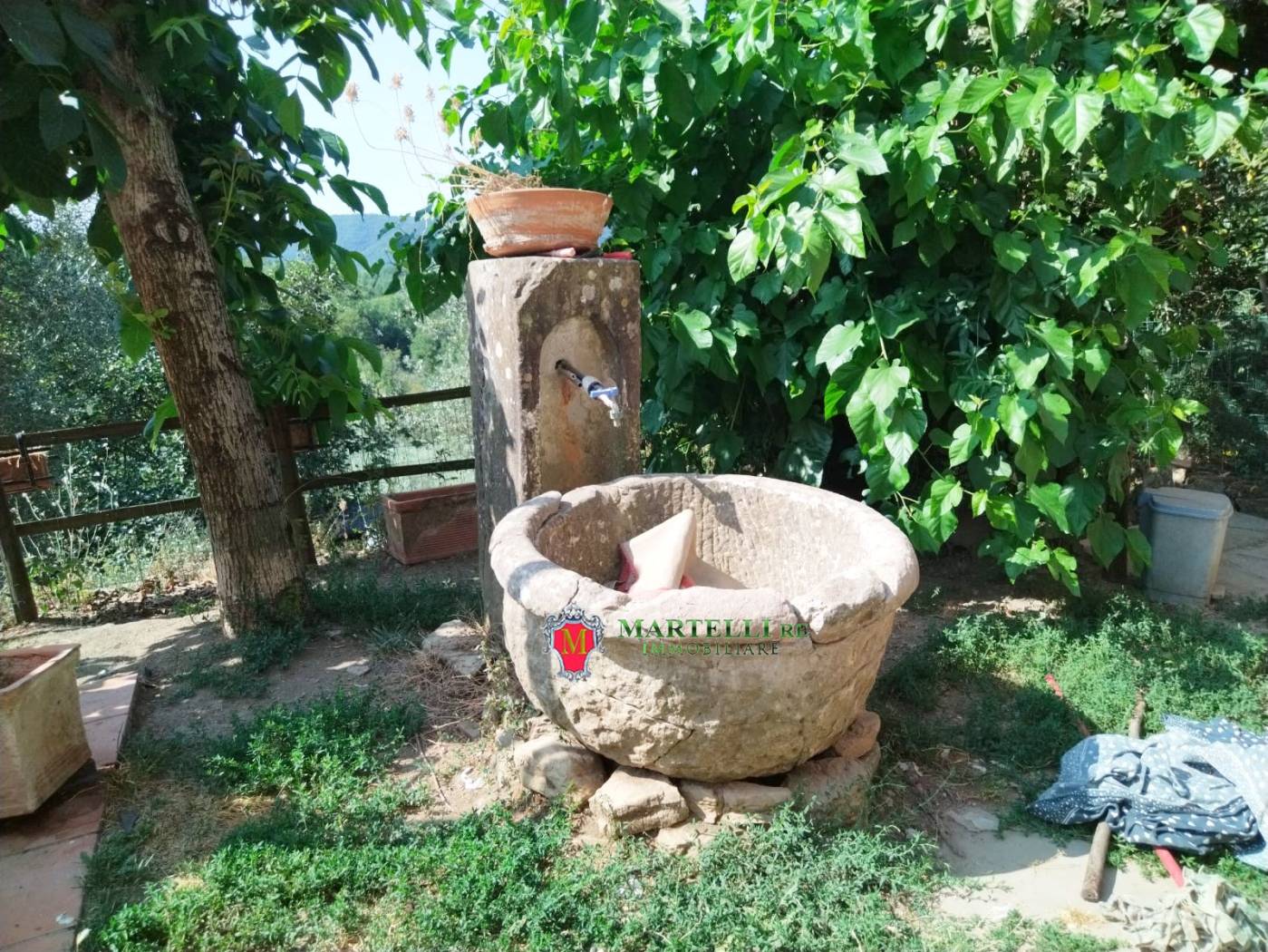 Giardino