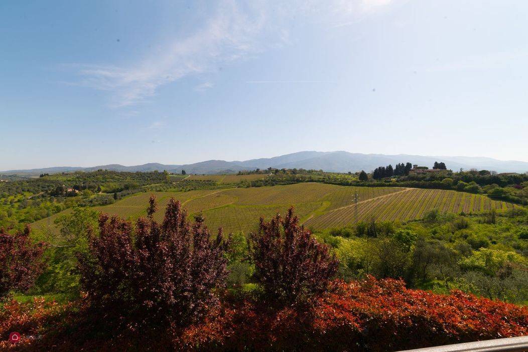 Vista