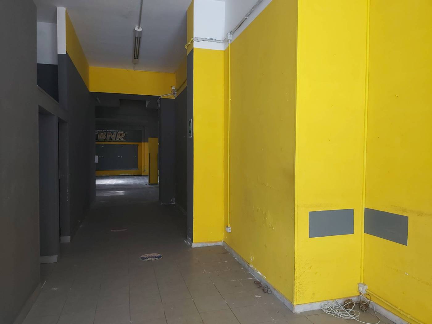 Ingresso
