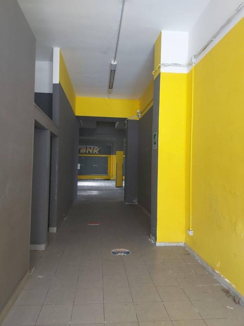 Ingresso