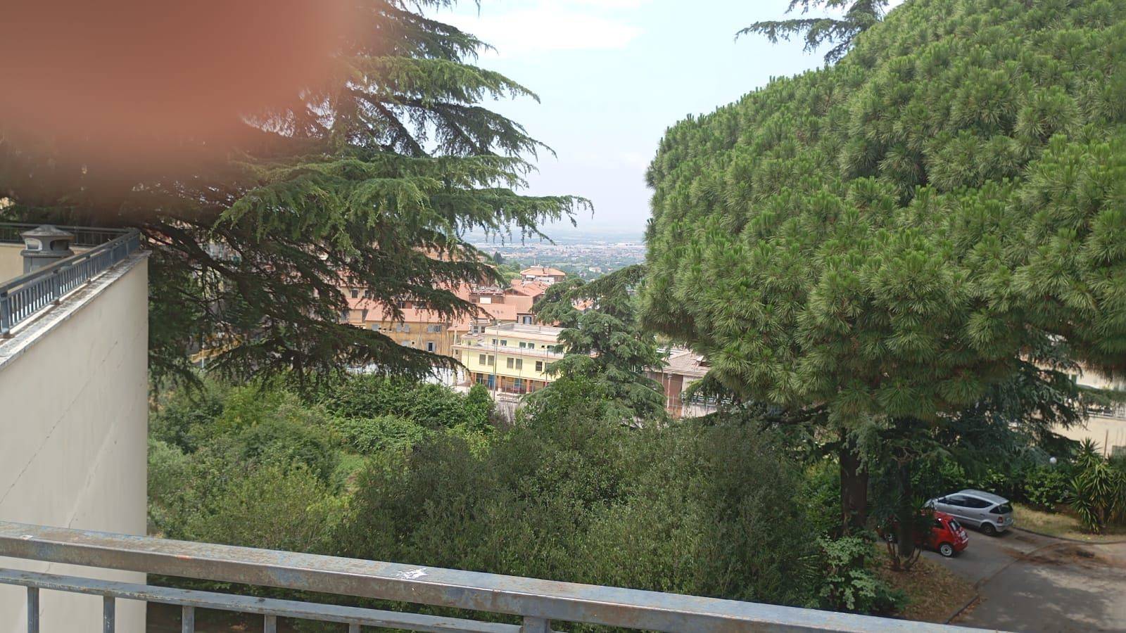 Vista