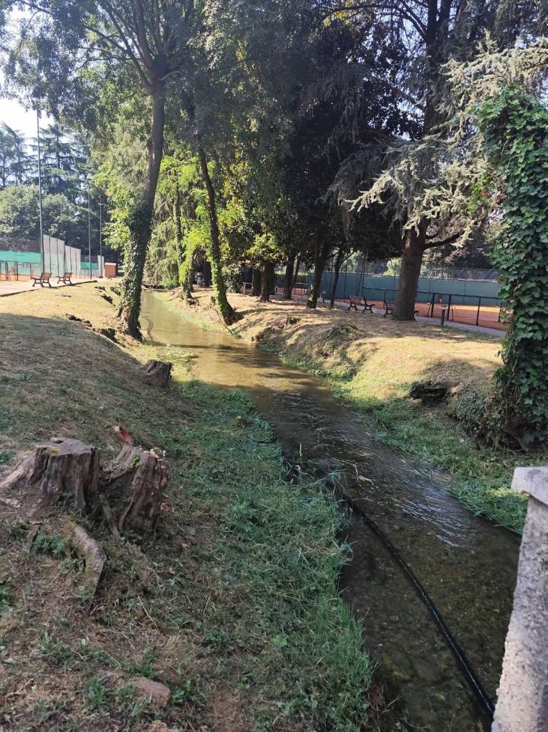 Giardino