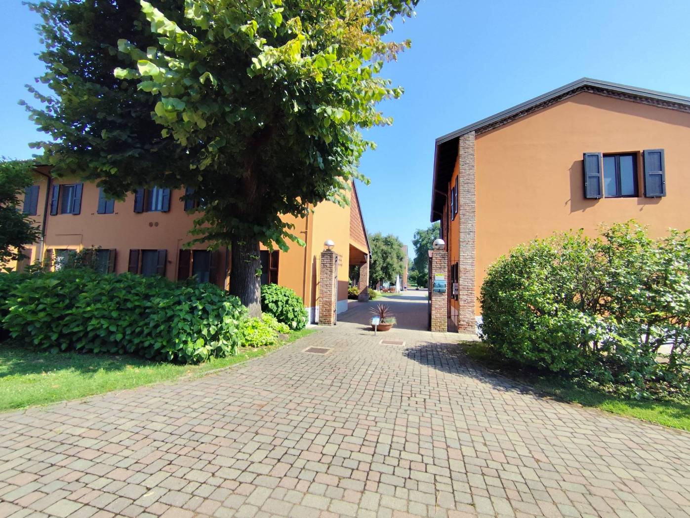 Giardino