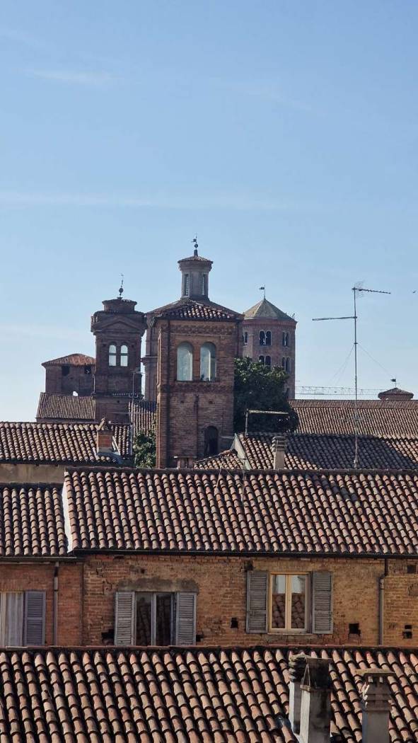 Vista