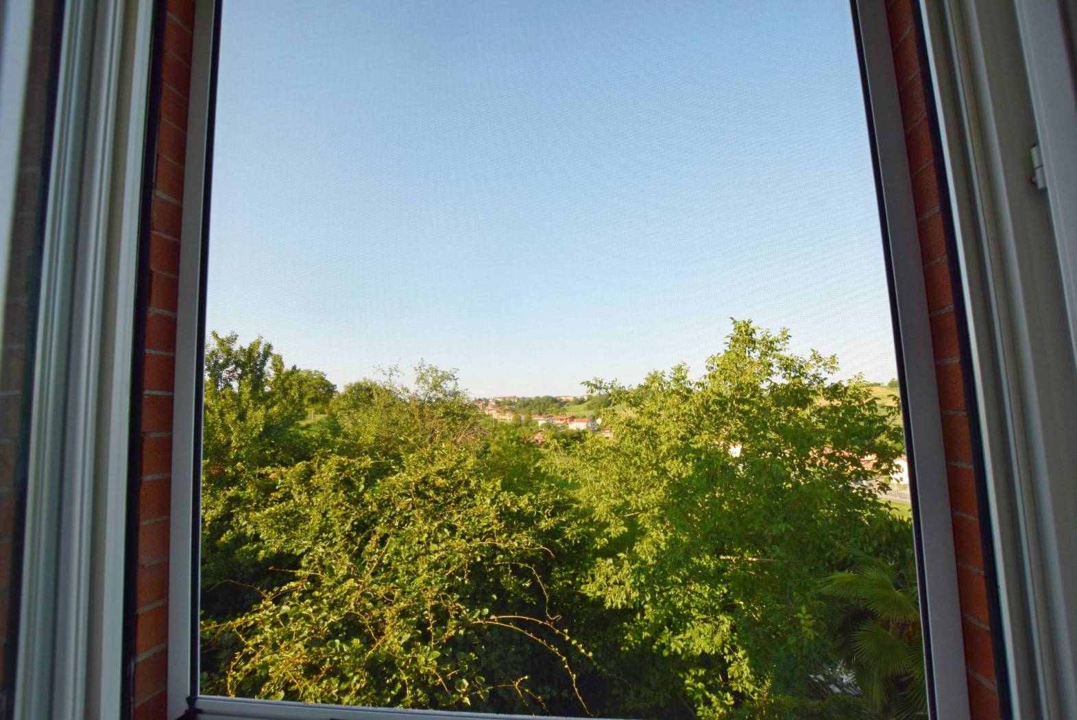 Vista