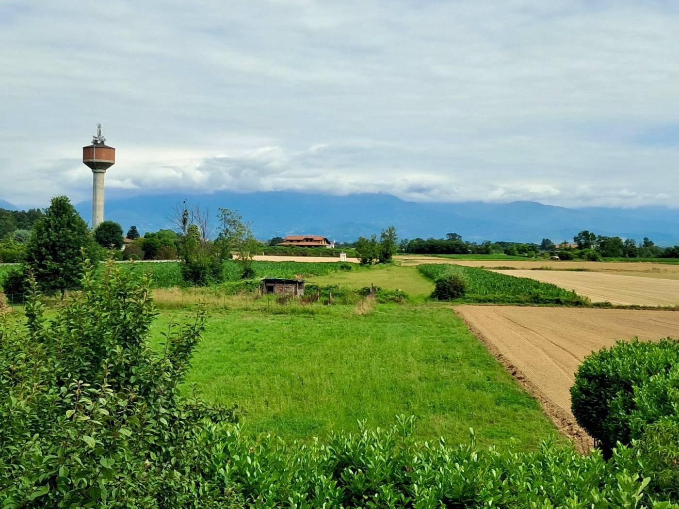 Terreno