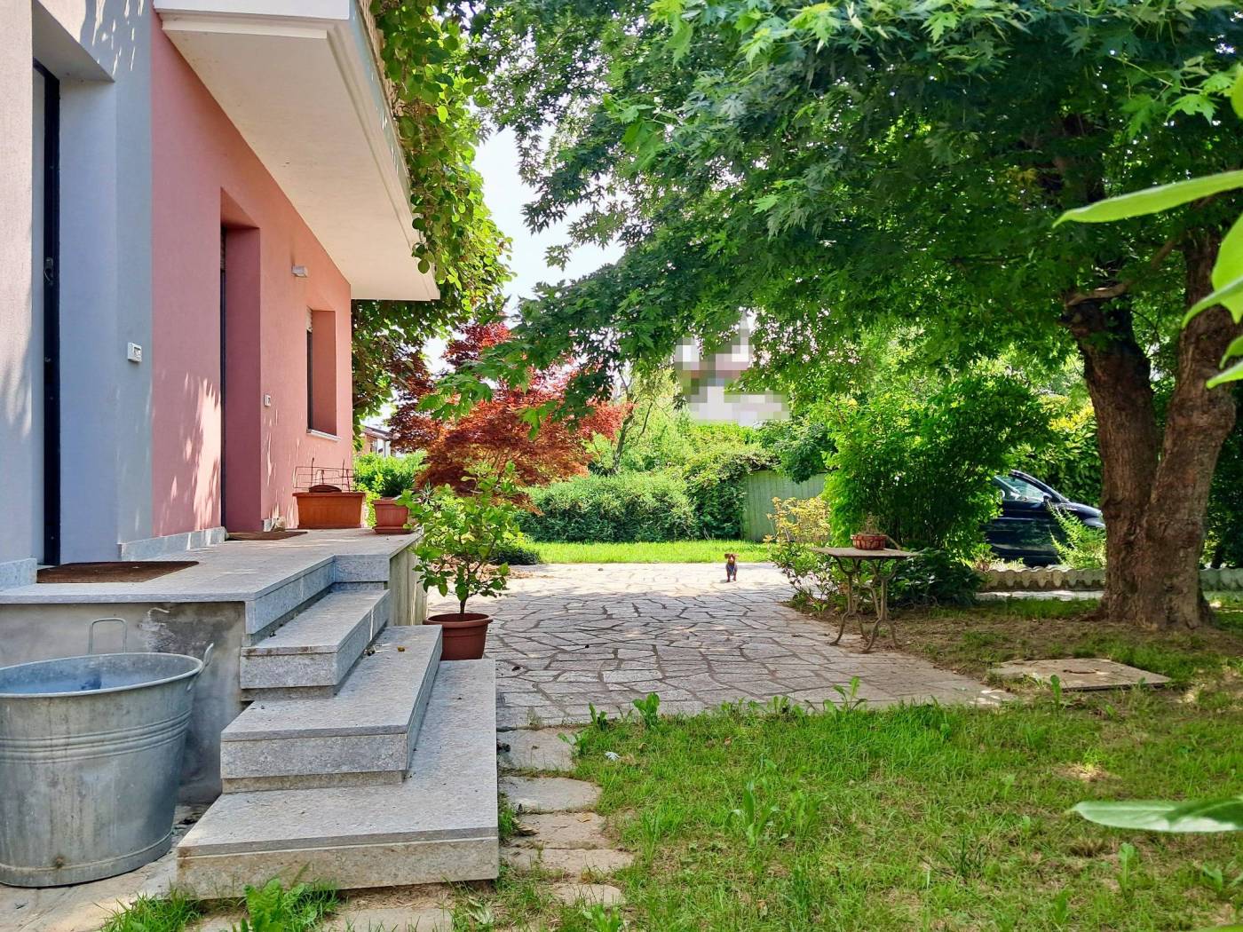 Giardino