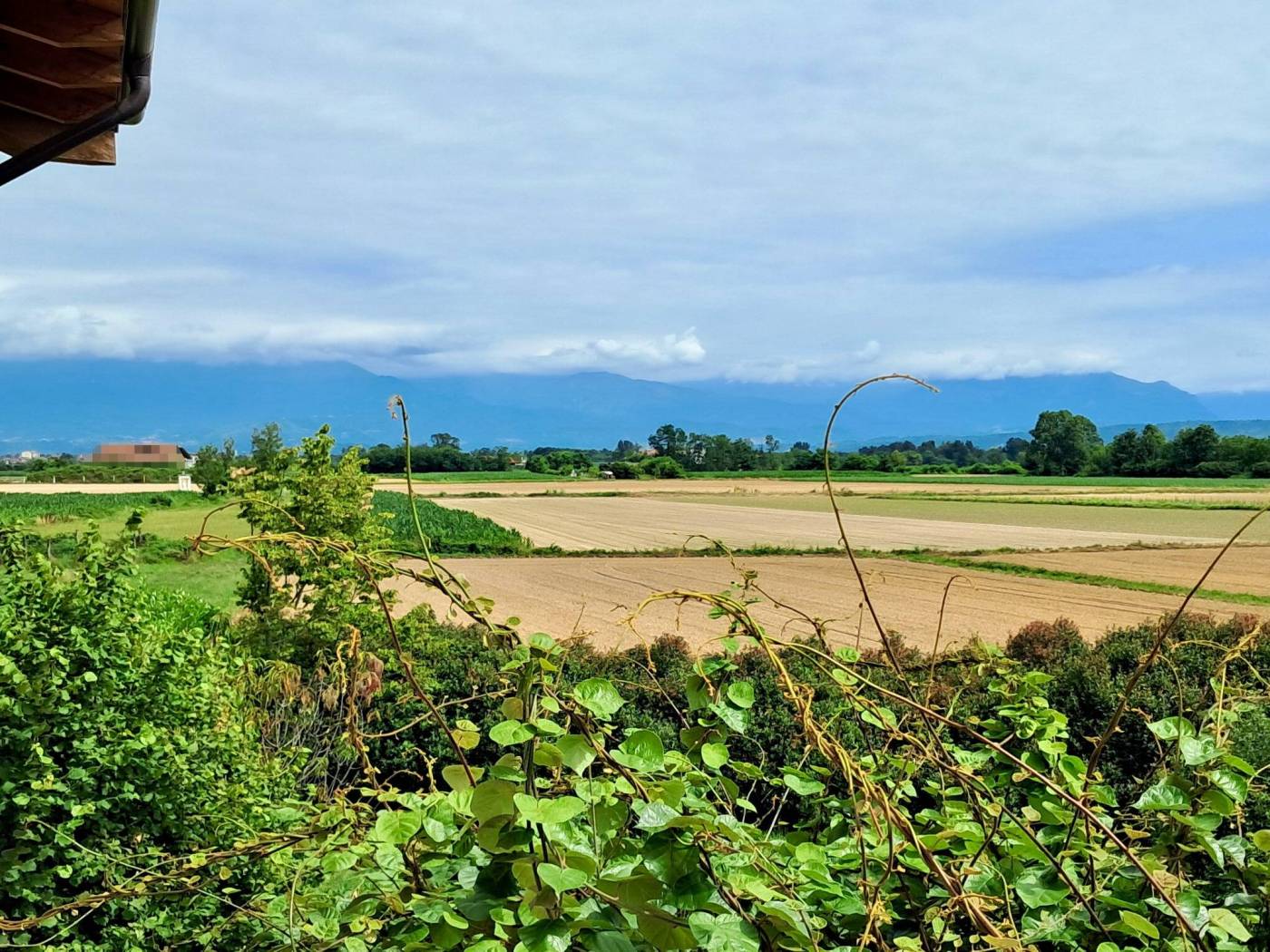 Vista