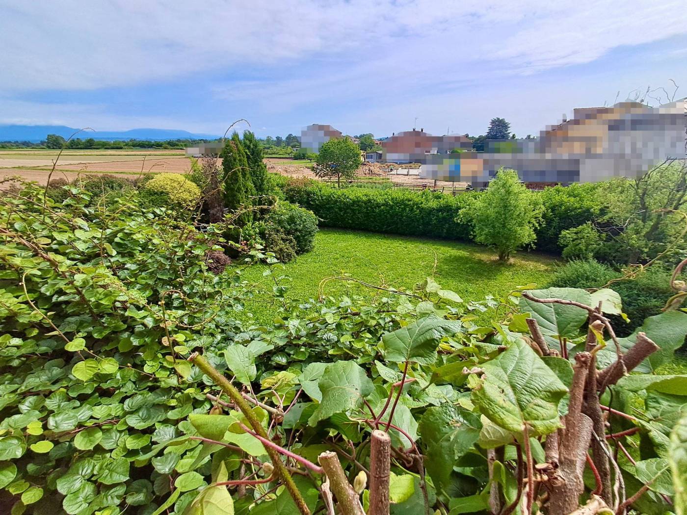 Giardino