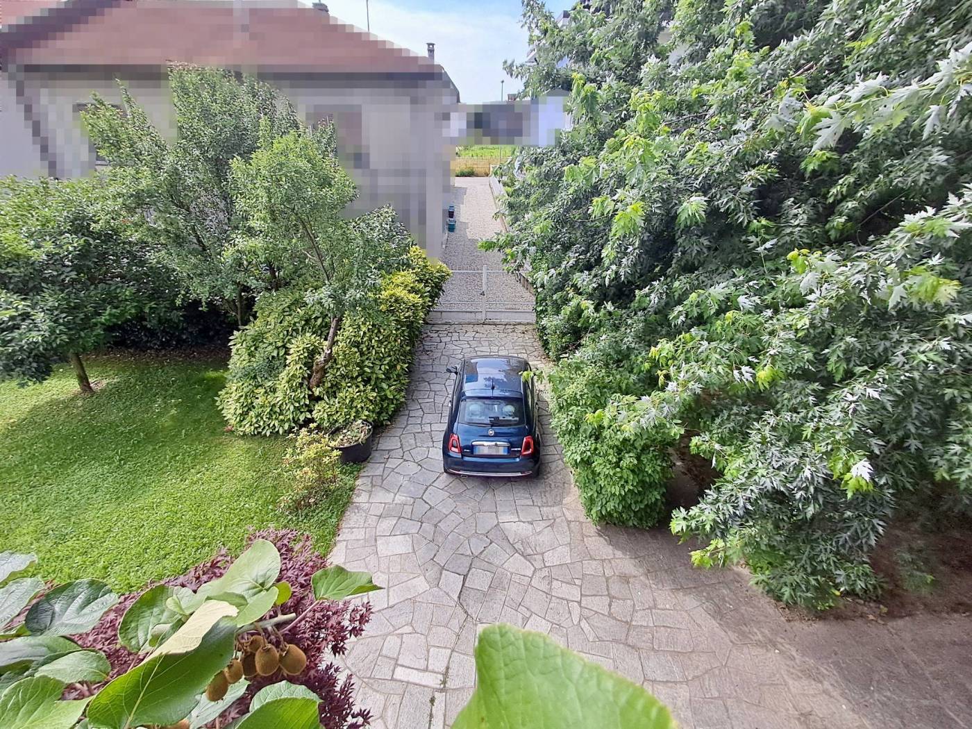 Giardino