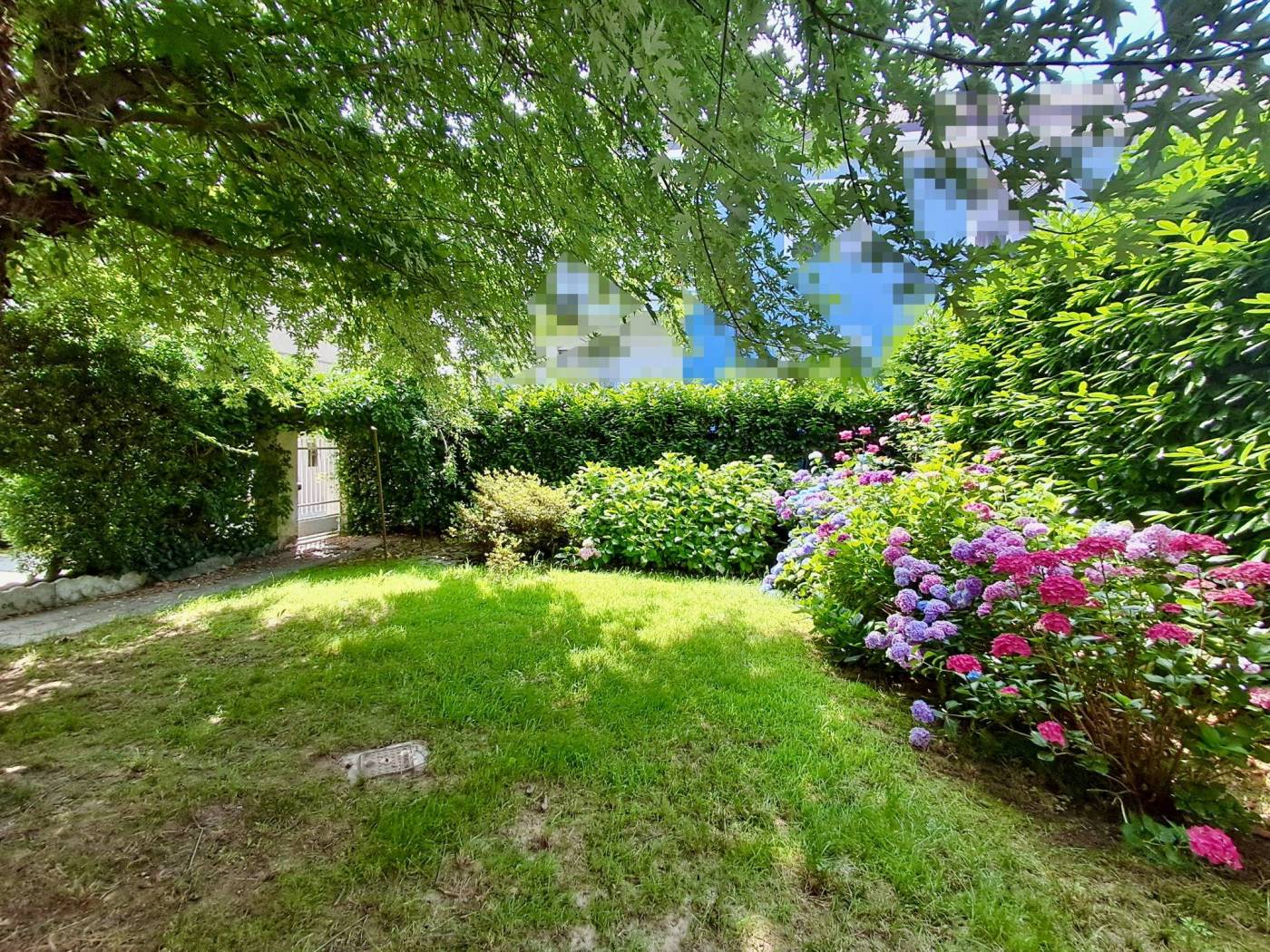 Giardino