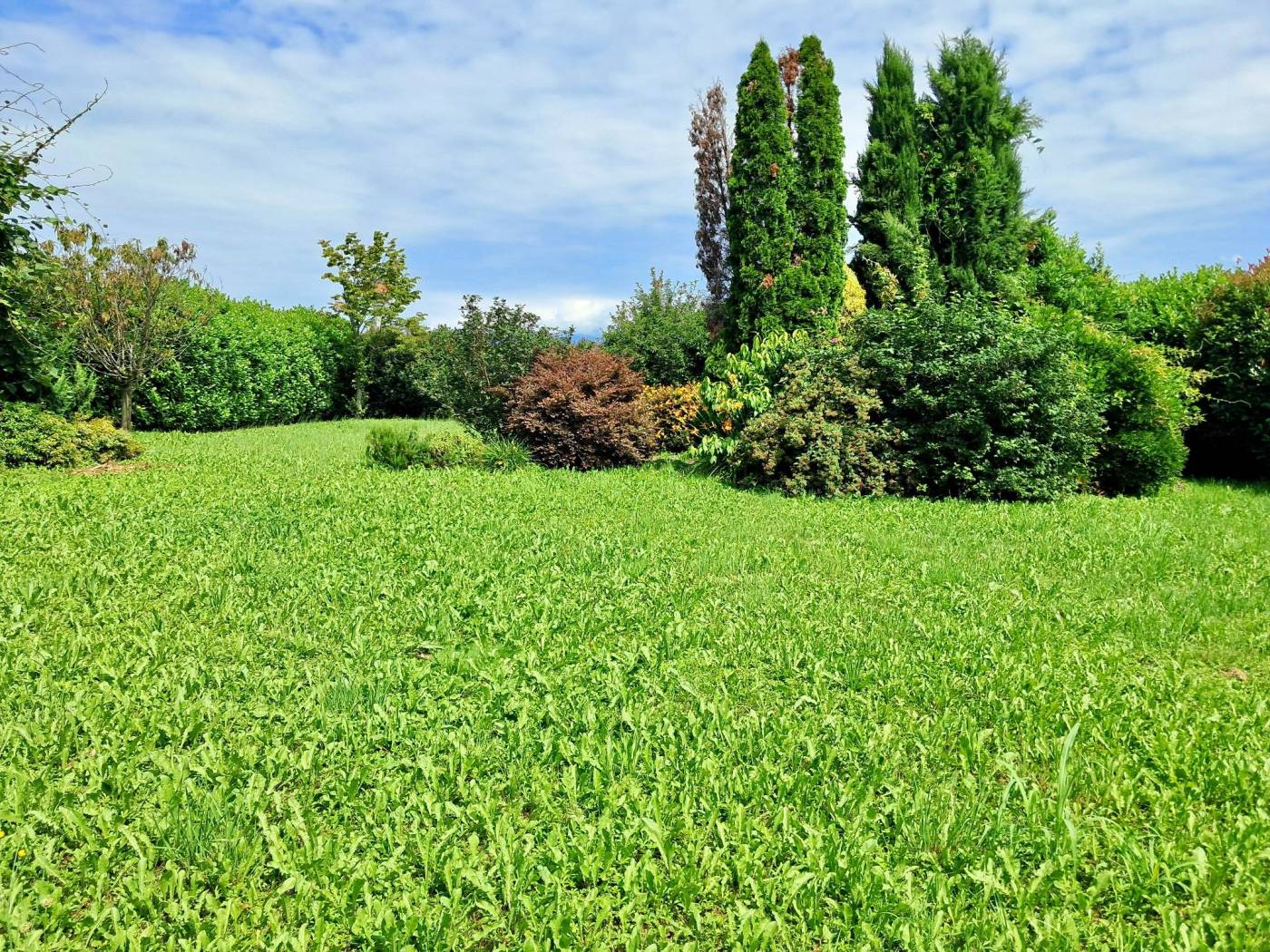 Terreno