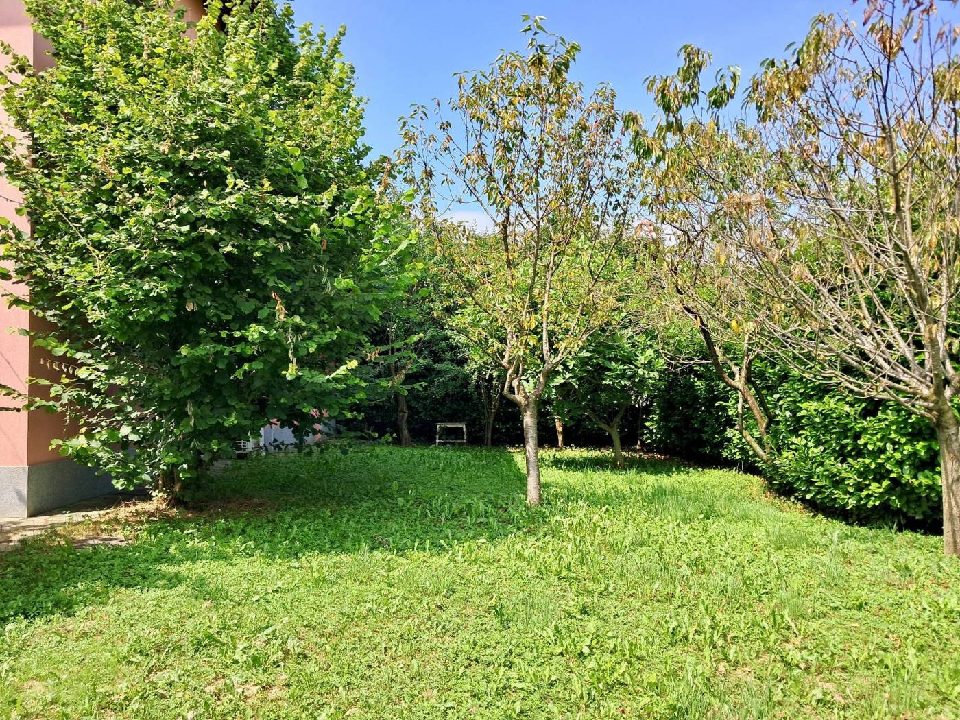 Giardino