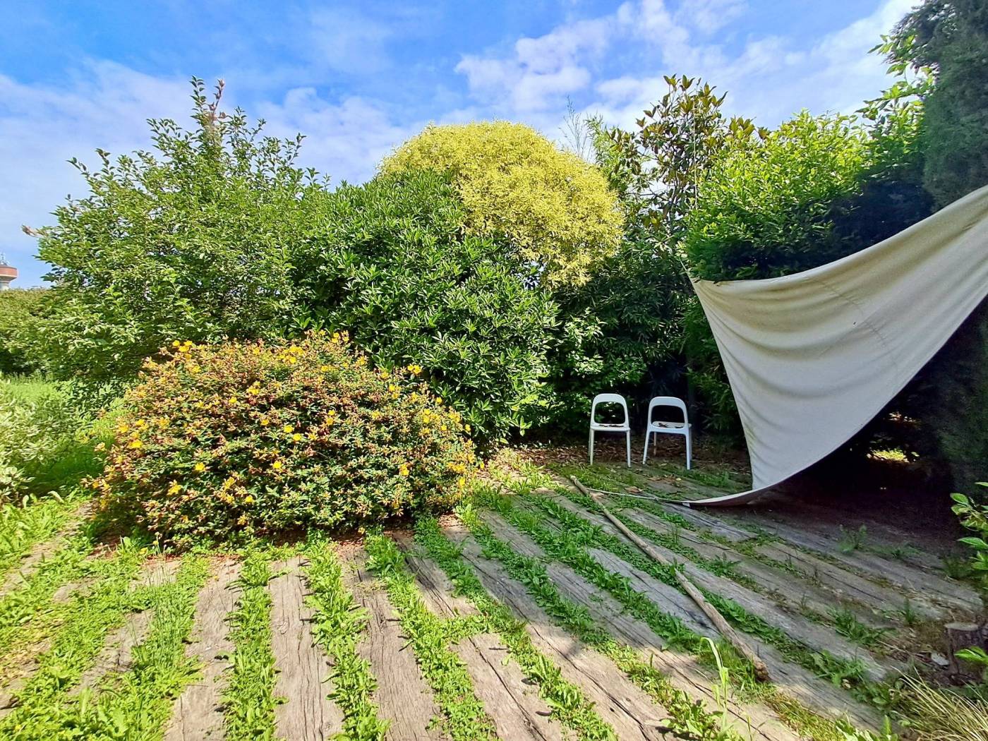 Giardino