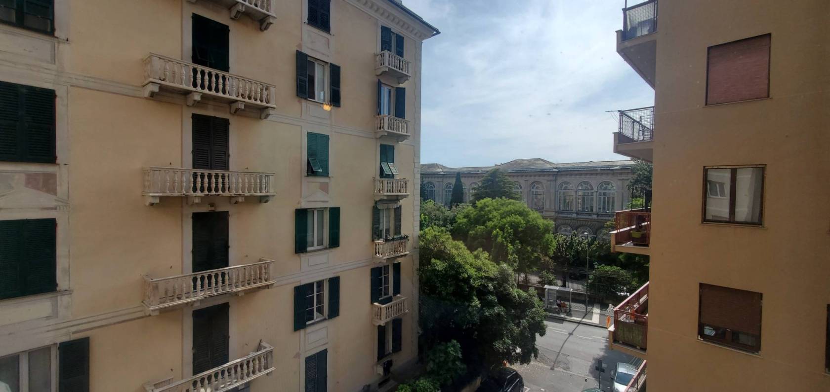 Vista