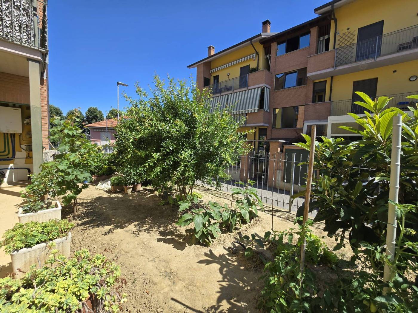 Giardino