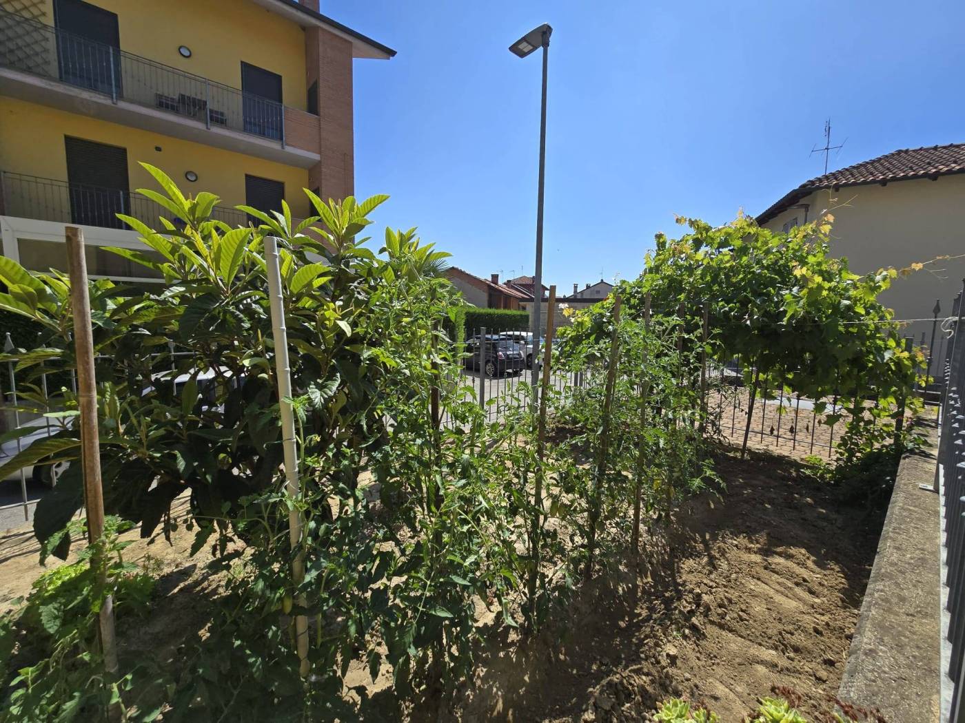 Giardino