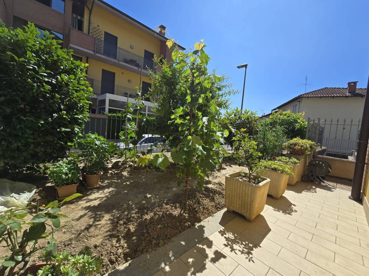 Giardino
