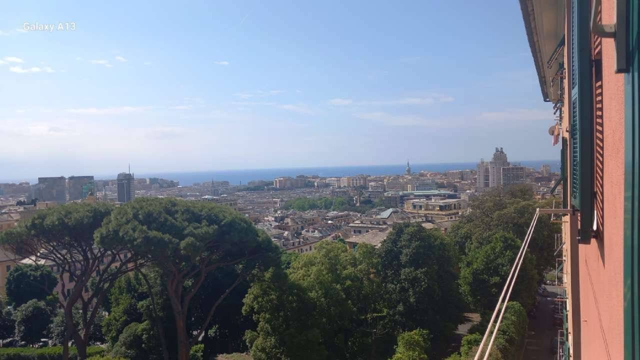 Vista