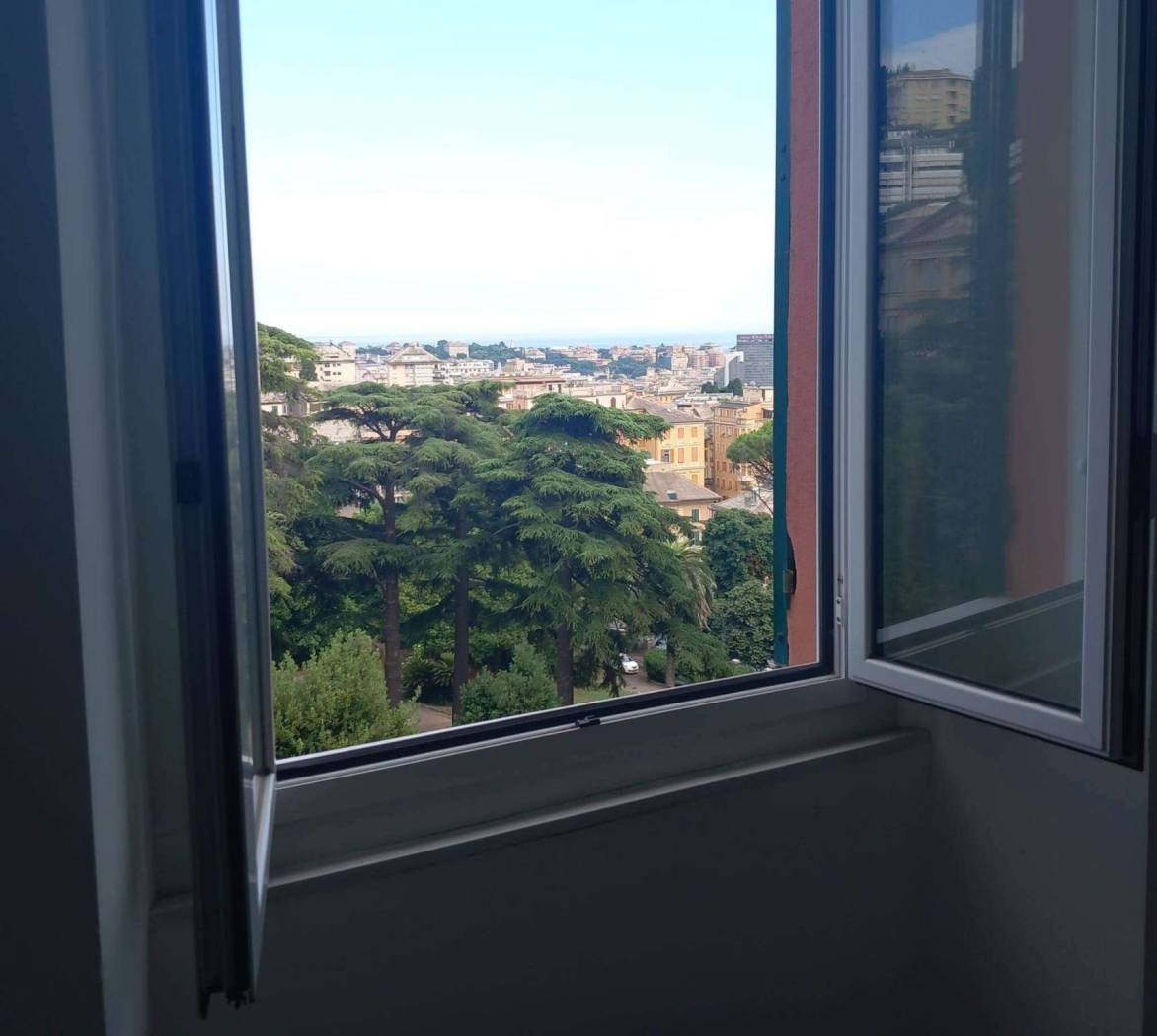 Vista