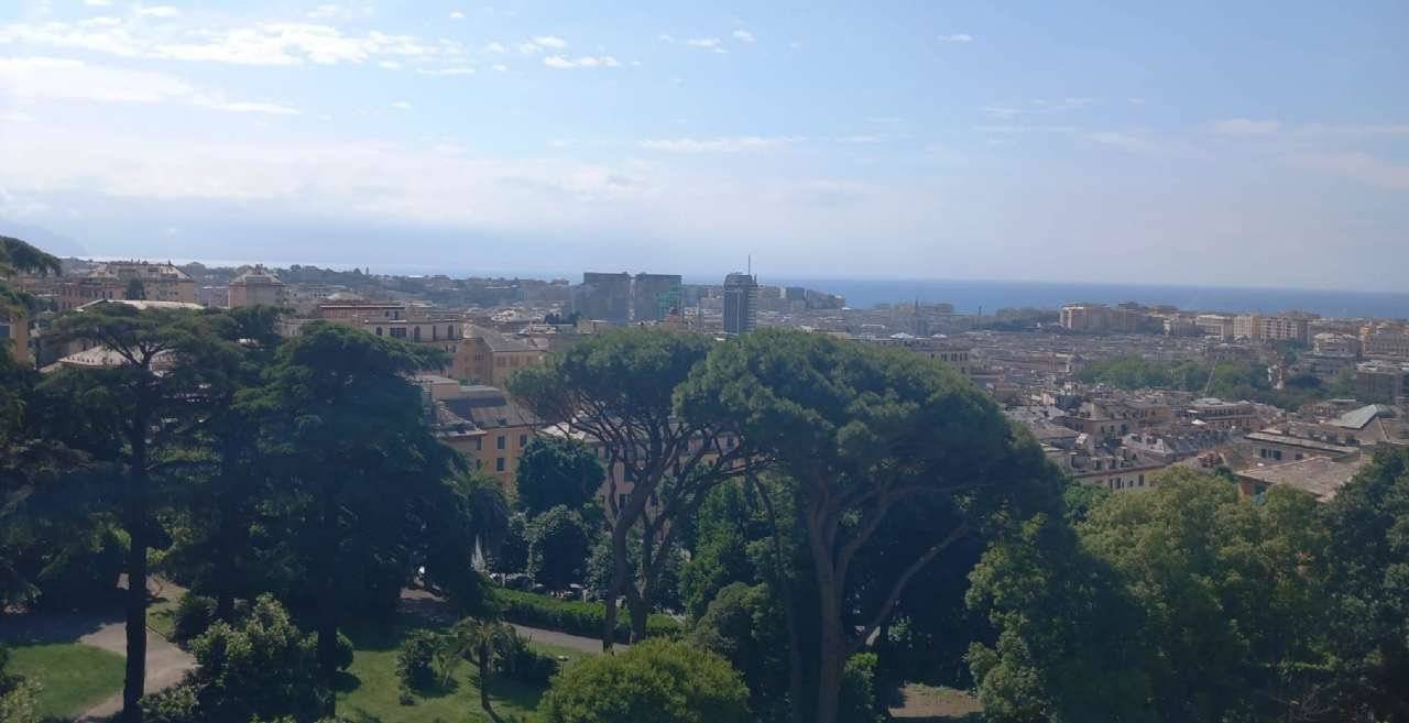 Vista